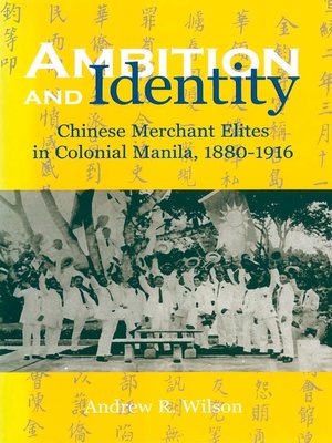 cover image of Ambition and Identity